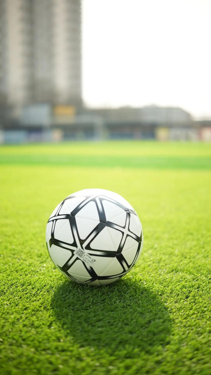 数据分析研究人员使用平台